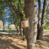 Bird and bee houses