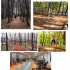 500 meters of open area walking track and fitness center